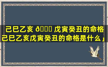 己巳乙亥 🐒 戊寅癸丑的命格「己巳乙亥戊寅癸丑的命格是什么」